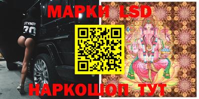 стаф Краснодар