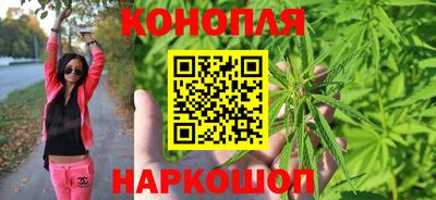 стаф Краснодар
