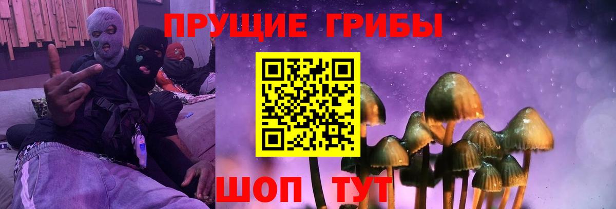 Галлюциногенные грибы мицелий  купить наркоту  Галлюциногенные грибы GOLDEN TEACHER  Гусиноозёрск  Вход с VPN 